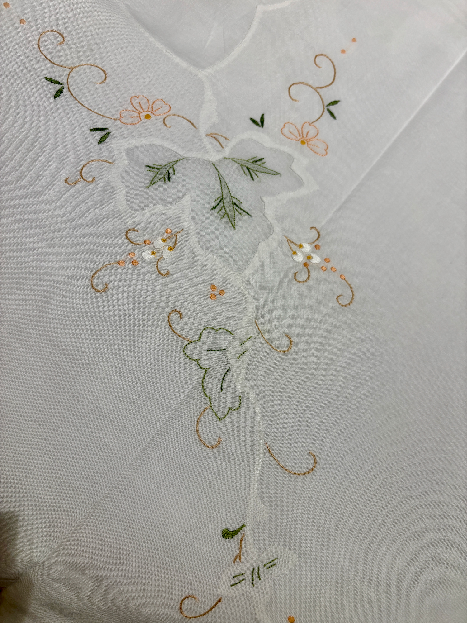 Cotone Colore