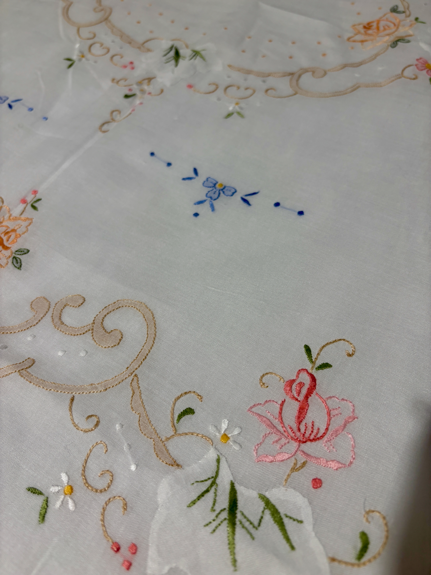 Cotone Colore